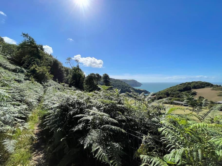 Shearwater, Moor And Sea Holidays, Lovely Tranquil Space Between Exmoor And The North Devon Coast Lynton Exterior photo